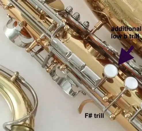 Additional low-B trill on #1365 (annotated)